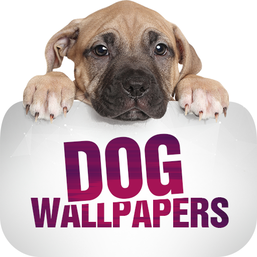 Wallpapers with dogs in 4K 1.2.3 Icon