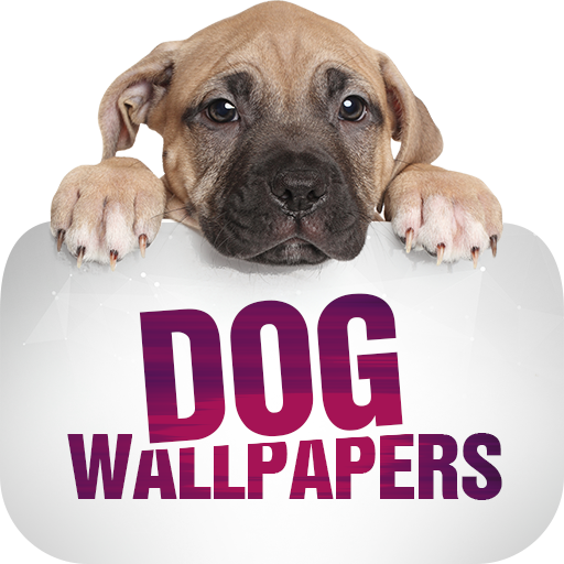Wallpapers with dogs in 4K logo