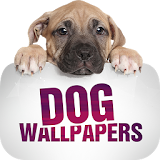 Wallpapers with dogs icon