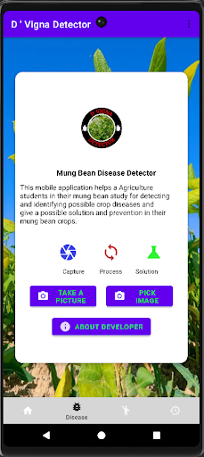 Android application D'Mung Bean Detector screenshort