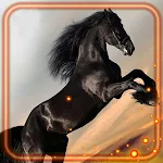 Cover Image of डाउनलोड Horses HD  APK
