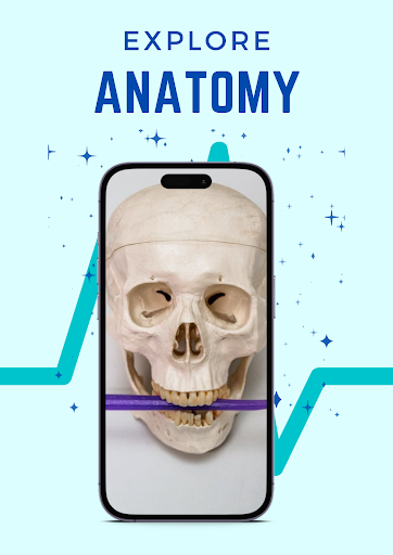 Op01 - Human Anatomy