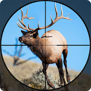 Stag Hunter 2019: Bow Deer Shooting Games FPS