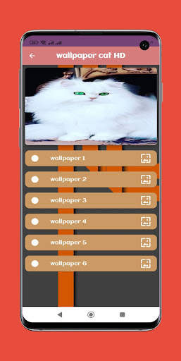 Android application wallpaper cat HD screenshort