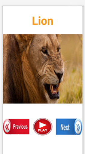 Birds And Animals Sounds Offline 2021