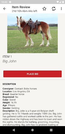 Equine Online Auction Screen 3