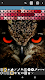 screenshot of Stitch Studio - Cross stitchin