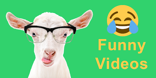 Funny Animal Videos