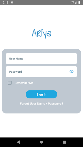 Ariya Screen 2