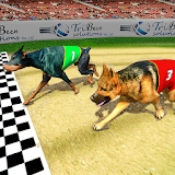 Real Dog Racing Tournament icon