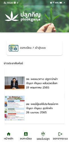 ปลูกกัญ