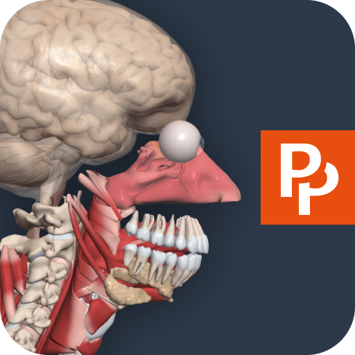 Primal’s 3D Human Anatomy Quiz logo