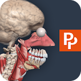 Primal’s 3D Human Anatomy Quiz icon