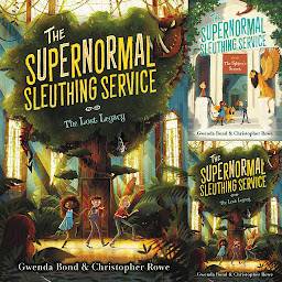 Icon image Supernormal Sleuthing Service