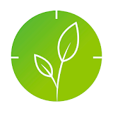 GreenHub icon