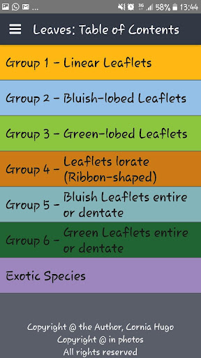 Indigenous Cycads Screen 2