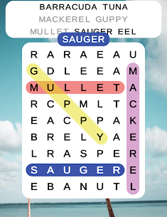 Word Search – Puzzle Game 4