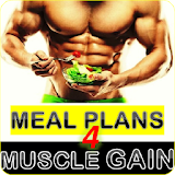Meal Planner For Muscle Gain icon