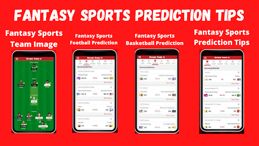 Fantasy Sports Prediction Tips