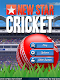 screenshot of New Star Cricket
