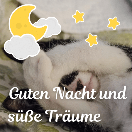 Gute Nacht Bilder