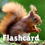 Animal flashcard & sounds for kids & toddlers Apk
