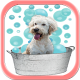 Dog Grooming Tips And Tricks icon