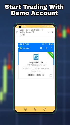 Forex Trading Guide Beginner