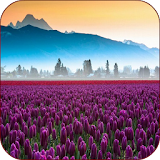 Valley Flower Live Wallpaper icon