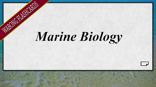 Marine Biology Full