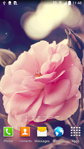 Android application Rose Live Wallpaper screenshort