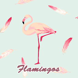 Icon image Cute Wallpaper Flamingos Theme