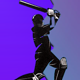 Cricket Line Master : Super Fast Live Line icon