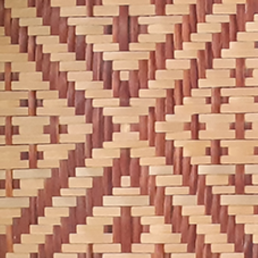 Dicionário Baniwa-Koripako logo