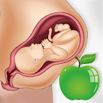 Cover Image of Download Pregnancy Tips Diet Nutrition  APK