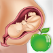 Pregnancy Tips Diet Nutrition - Androidアプリ