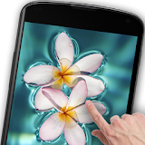 Floating Flower Live Wallpaper icon