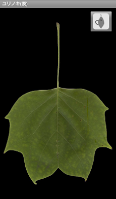 シンプル木の葉図鑑のおすすめ画像5