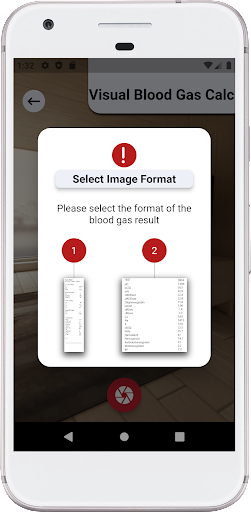 ABG - Visual Blood Gas Calc Screen 2