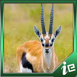 Beautiful Gazelle Simulator icon
