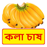 Cover Image of Unduh কলা চাষ ~ Banana Cultivation  APK