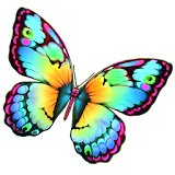 Paint Me a Butterfly! icon