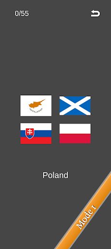 Games of Flags Screen 3