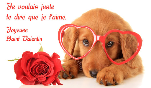 Joyeuse Saint Valentin Screen 3