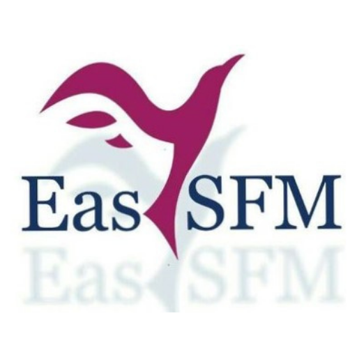 EasySFM logo