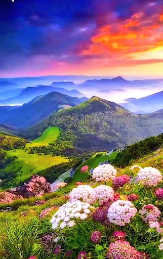 Beautiful landscapes Screen 2