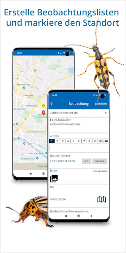 NABU Insektenwelt - Insekten Entdecken  Bestimmen