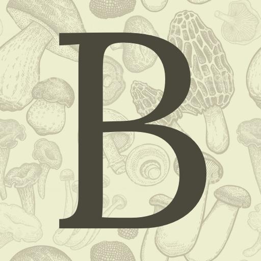 Boletpèdia  Icon