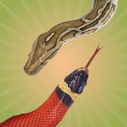 Snake Touch logo