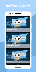 Tv Argentina fútbol 2024 guide